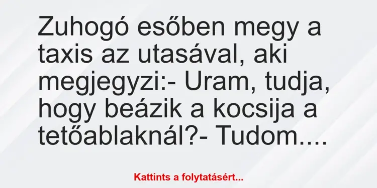 Vicc: Zuhogó esőben megy a taxis az utasával, aki megjegyzi:– Uram,…