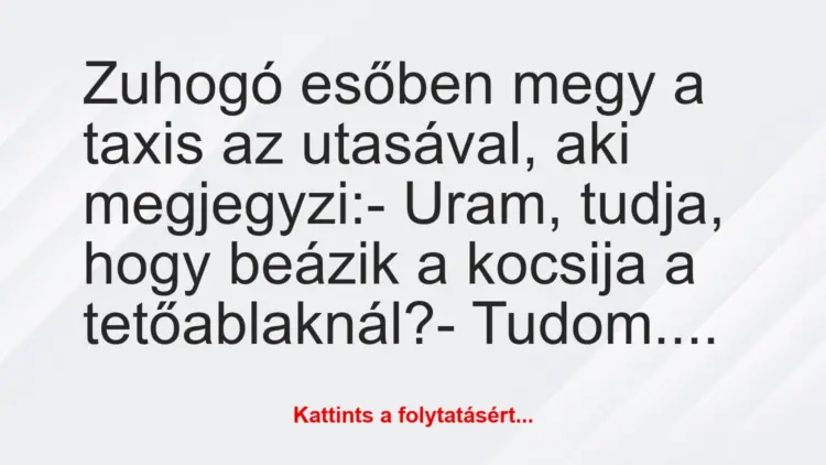 Vicc: Zuhogó esőben megy a taxis az utasával, aki megjegyzi:– Uram,…