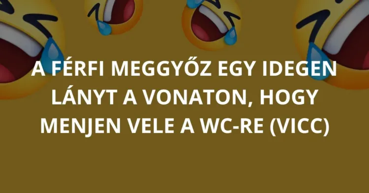 Vicc: A férfi meggyőz egy idegen lányt a vonaton, hogy menjen vele a…