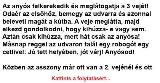 Vicc: Az anyós felkerekedik és meglátogatja a 3 vejét!