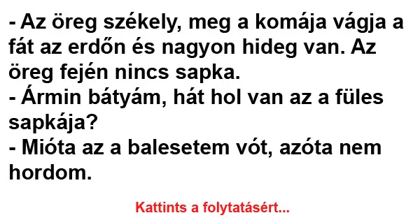 Vicc: – Az öreg székely, meg a komája vágja a fát az erdőn és nagyon hideg…