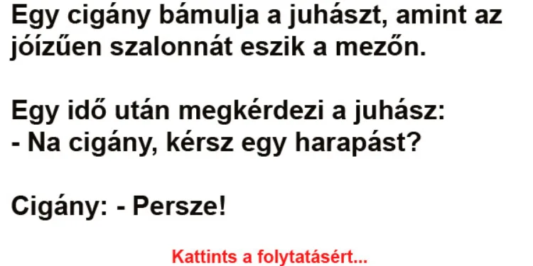 Vicc: Egy cigány bámulja a juhászt, amint az jóízűen szalonnát eszik a mezőn