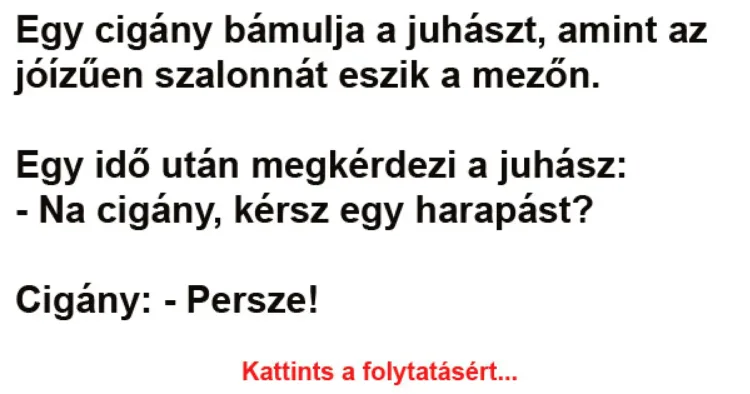 Vicc: Egy cigány bámulja a juhászt, amint az jóízűen szalonnát eszik a mezőn