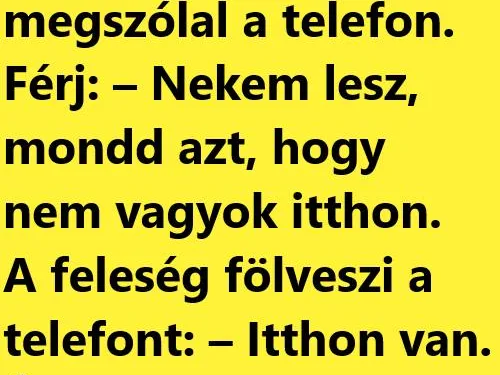 Vicc: Férj és feleség alszik éjjel, egyszercsak megszólal a telefon