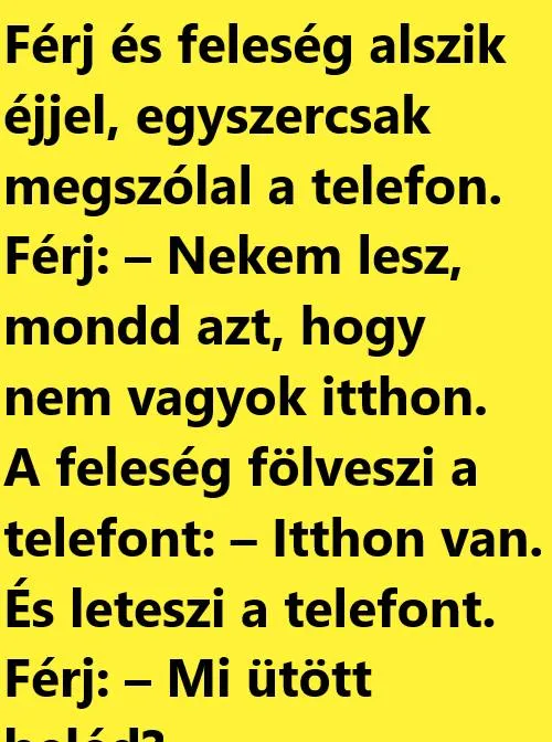 Vicc: Férj és feleség alszik éjjel, egyszercsak megszólal a telefon