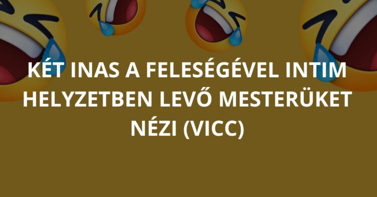 Vicc: Két inas a feleségével intim helyzetben levő mesterüket nézi