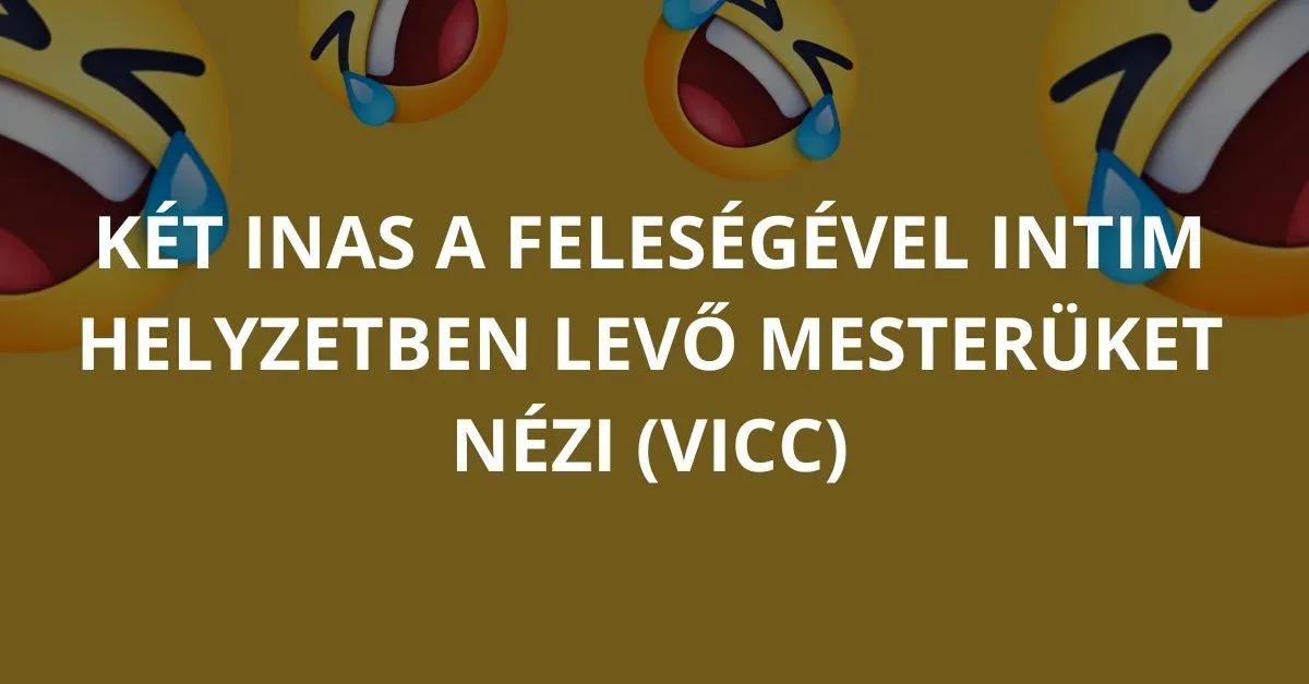 Vicc: Két inas a feleségével intim helyzetben levő mesterüket nézi