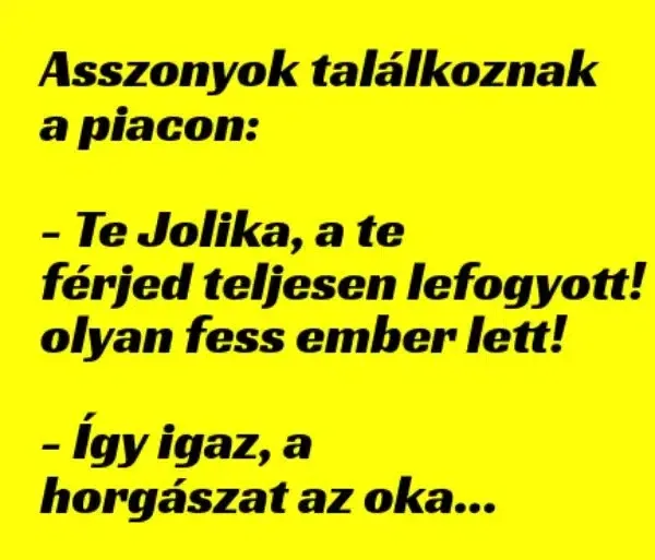 Vicc: VICC: Asszonyok találkoznak a piacon: – Te Jolika, a te férjed…