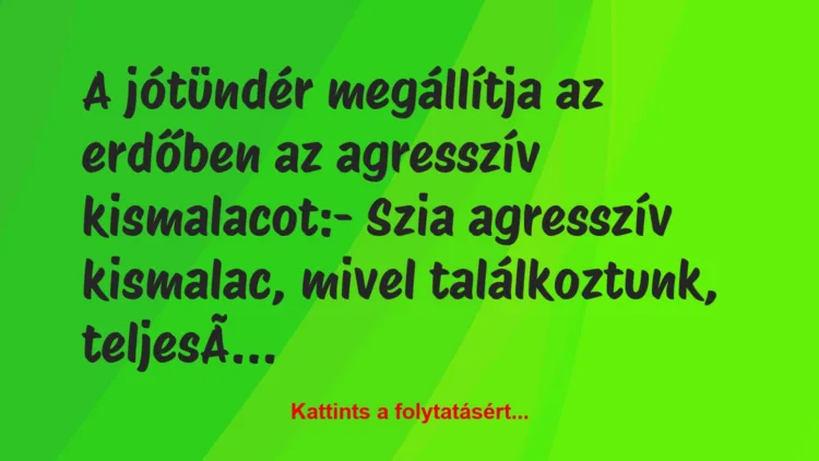 Vicc: A jótündér megállítja az erdőben az agresszív kismalacot:– Szia…