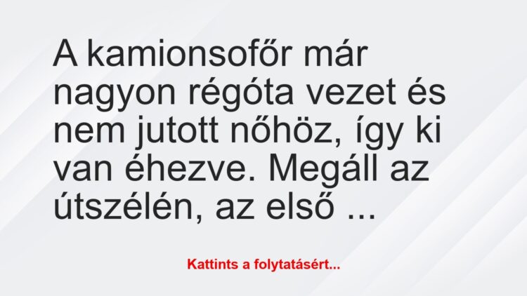 Vicc: A kamionsofőr már nagyon régóta vezet és nem jutott nőhöz, így ki van…