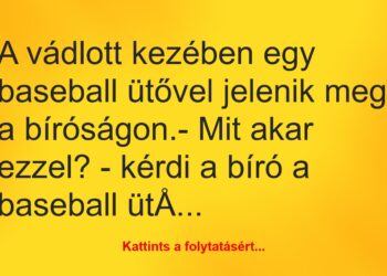 Vicc: A vádlott kezében egy baseball ütővel jelenik meg a bíróságon.-…