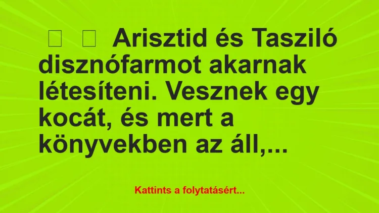 Vicc:
Arisztid és Tasziló disznófarmot akarnak létesíteni….