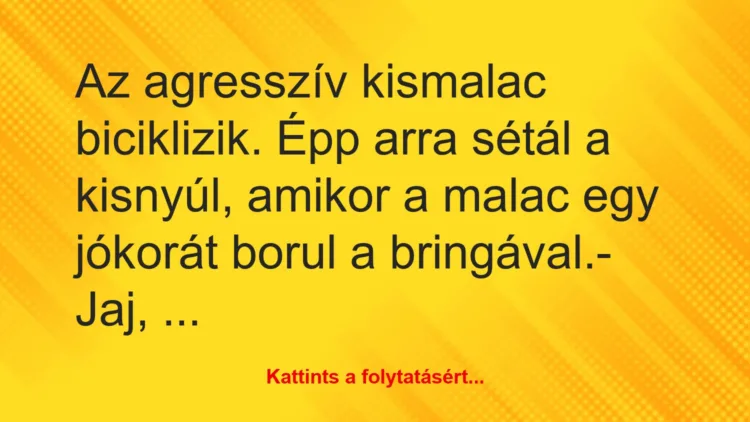 Vicc: Az agresszív kismalac biciklizik. Épp arra sétál a kisnyúl, amikor a…