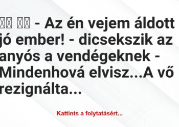 Vicc:
– Az én vejem áldott jó ember! – dicsekszik az…