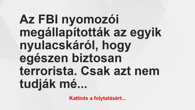 Vicc: Az FBI nyomozói megállapították az egyik nyulacskáról, hogy egészen…