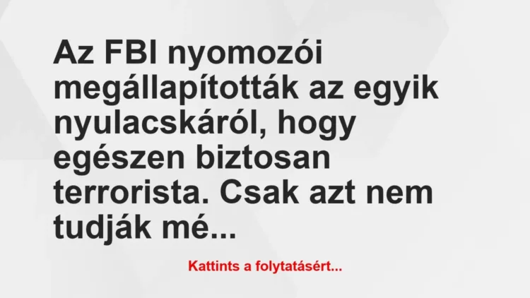 Vicc: Az FBI nyomozói megállapították az egyik nyulacskáról, hogy egészen…