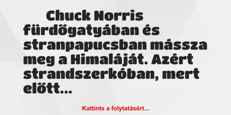 Vicc:
Chuck Norris fürdőgatyában és stranpapucsban…