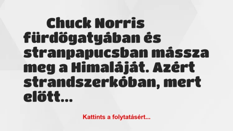 Vicc:
Chuck Norris fürdőgatyában és stranpapucsban…