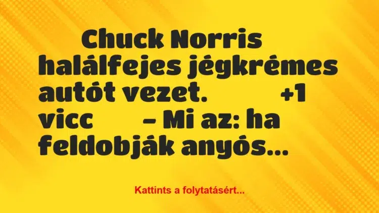 Vicc:
Chuck Norris halálfejes jégkrémes autót vezet….