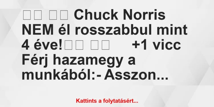 Vicc:
Chuck Norris NEM él rosszabbul mint 4 éve!		 …