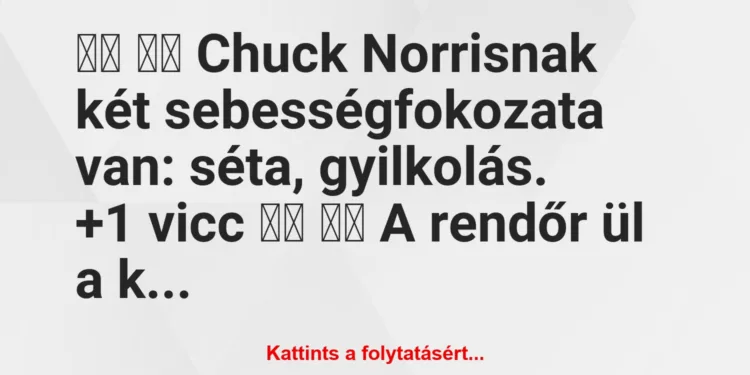 Vicc:
Chuck Norrisnak két sebességfokozata van: séta,…