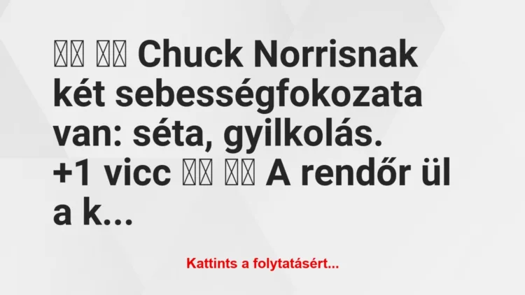 Vicc:
Chuck Norrisnak két sebességfokozata van: séta,…