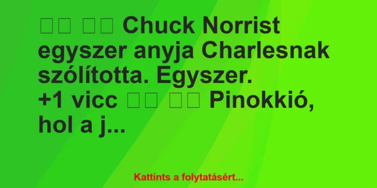 Vicc:
Chuck Norrist egyszer anyja Charlesnak…