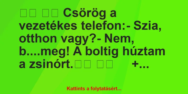 Vicc:
Csörög a vezetékes telefon:- Szia, otthon…