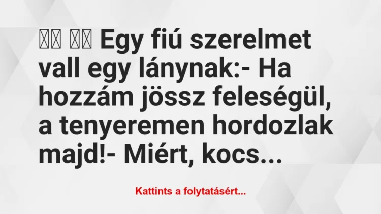 Vicc:
Egy fiú szerelmet vall egy lánynak:- Ha…