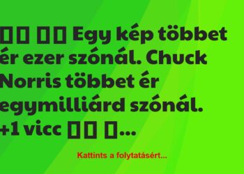 Vicc:
Egy kép többet ér ezer szónál. Chuck Norris…