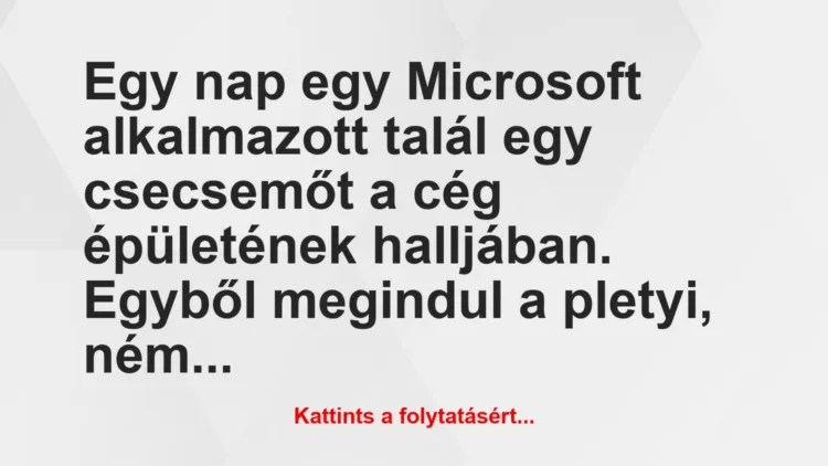 Vicc: Egy nap egy Microsoft alkalmazott talál egy csecsemőt a cég épületének…