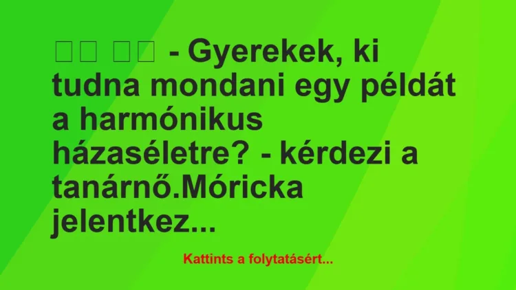 Vicc: 
		  
		  – Gyerekek, ki tudna mondani egy példát a…