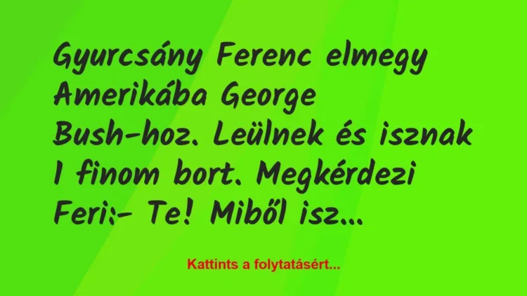 Vicc: Gyurcsány Ferenc elmegy Amerikába George Bush-hoz. Leülnek és isznak 1…