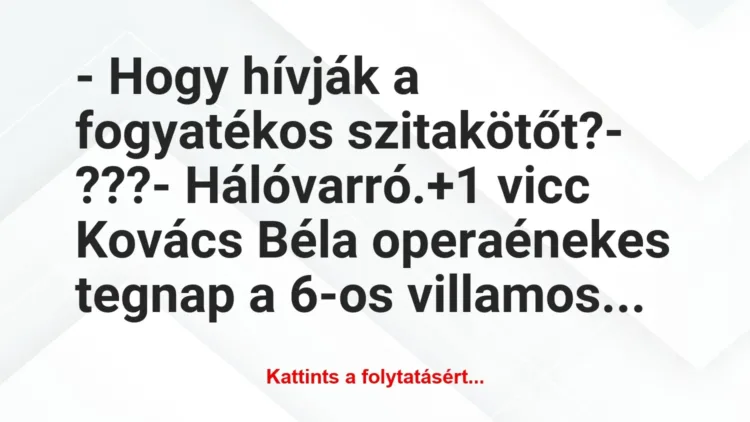 Vicc: – Hogy hívják a fogyatékos szitakötőt?

– ???

– Hálóvarró.