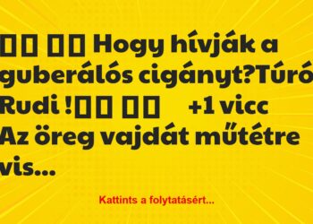 Vicc:
Hogy hívják a guberálós cigányt?Túró Rudi…