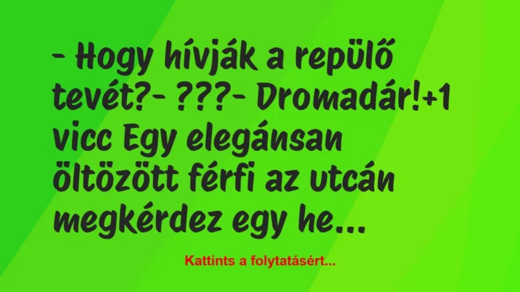 Vicc: – Hogy hívják a repülő tevét?

– ???

– Dromadár!