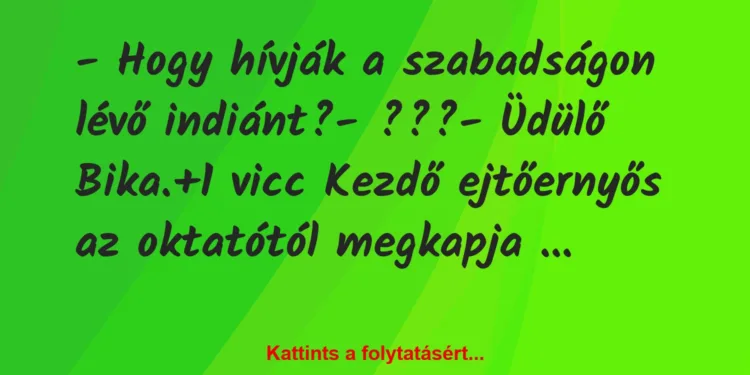 Vicc: – Hogy hívják a szabadságon lévő indiánt?– ???– Üdülő…