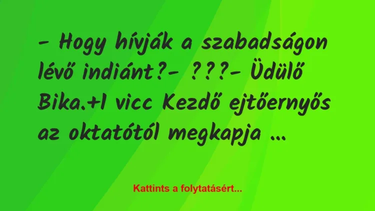 Vicc: – Hogy hívják a szabadságon lévő indiánt?

– ???

– Üdülő…