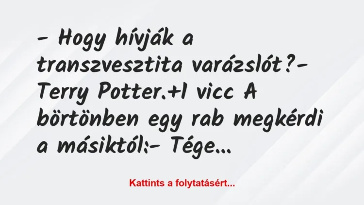 Vicc: – Hogy hívják a transzvesztita varázslót?

– Terry Potter.