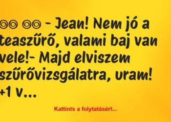 Vicc:
– Jean! Nem jó a teaszűrő, valami baj van…