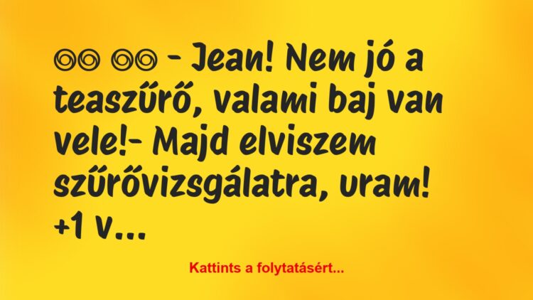 Vicc:
– Jean! Nem jó a teaszűrő, valami baj van…