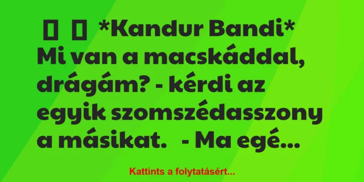 Vicc:
*Kandur Bandi*Mi van a macskáddal, drágám? – kérdi …