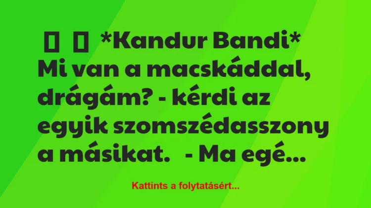 Vicc:
*Kandur Bandi*Mi van a macskáddal, drágám? – kérdi …