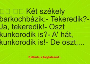 Vicc:
Két székely barkochbázik:- Tekeredik?-…