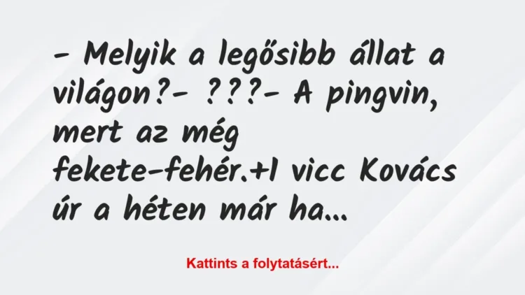 Vicc: – Melyik a legősibb állat a világon?

– ???

– A pingvin, mert…