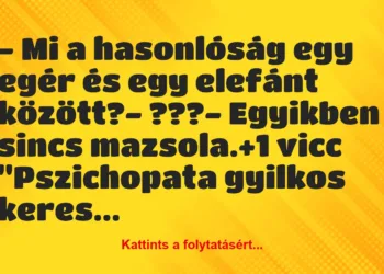 Vicc: – Mi a hasonlóság egy egér és egy elefánt között?– ???-…