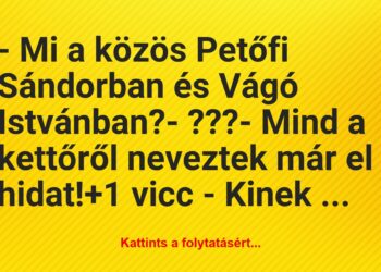 Vicc: – Mi a közös Petőfi Sándorban és Vágó Istvánban?– ???-…