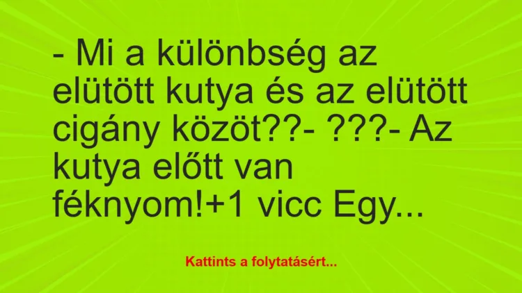 Vicc: – Mi a különbség az elütött kutya és az elütött cigány közöt??-…