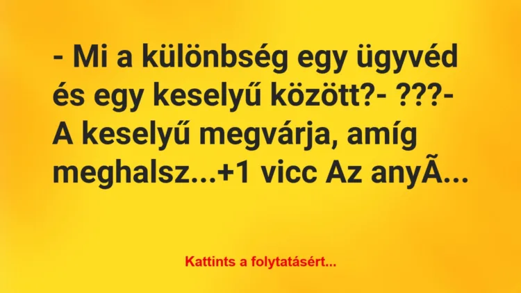 Vicc: – Mi a különbség egy ügyvéd és egy keselyű között?– ???– A…