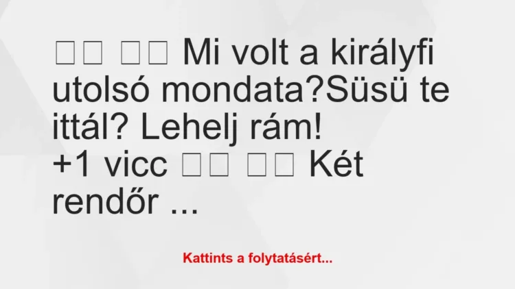 Vicc: 
		  
		  Mi volt a királyfi utolsó mondata?Süsü te ittál? …